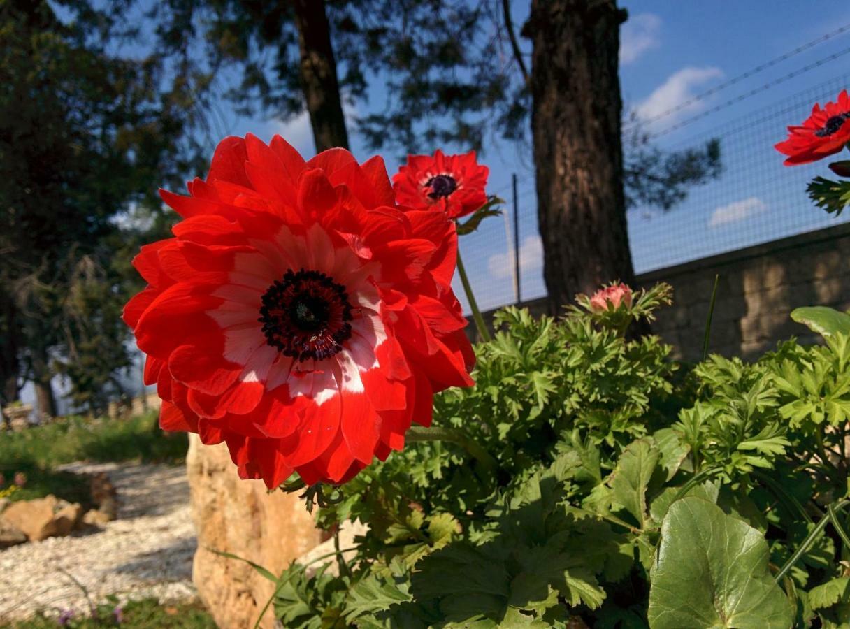 Villa 2 Fields Castellaneta Buitenkant foto